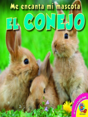 cover image of El conejo (Rabbit)